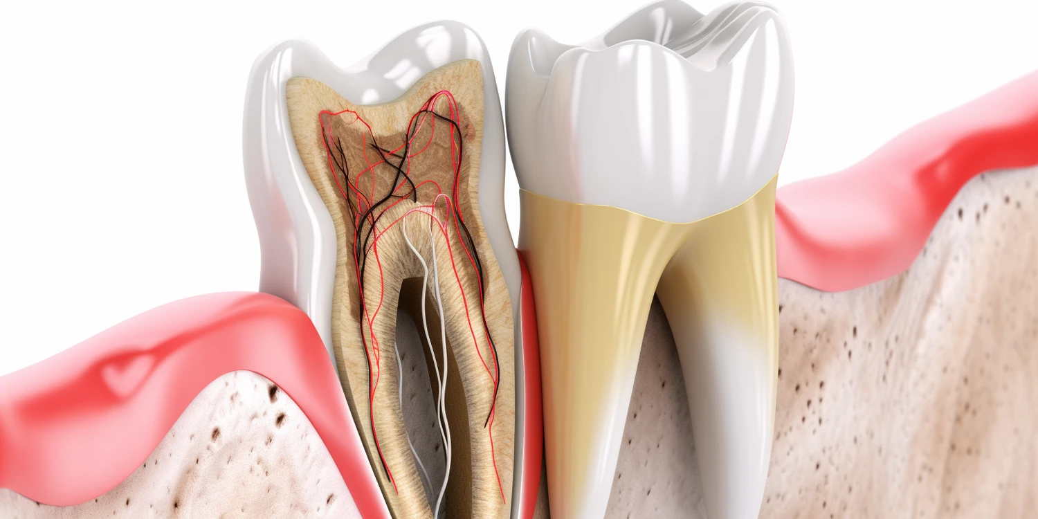 Czy dentysta to doktor?