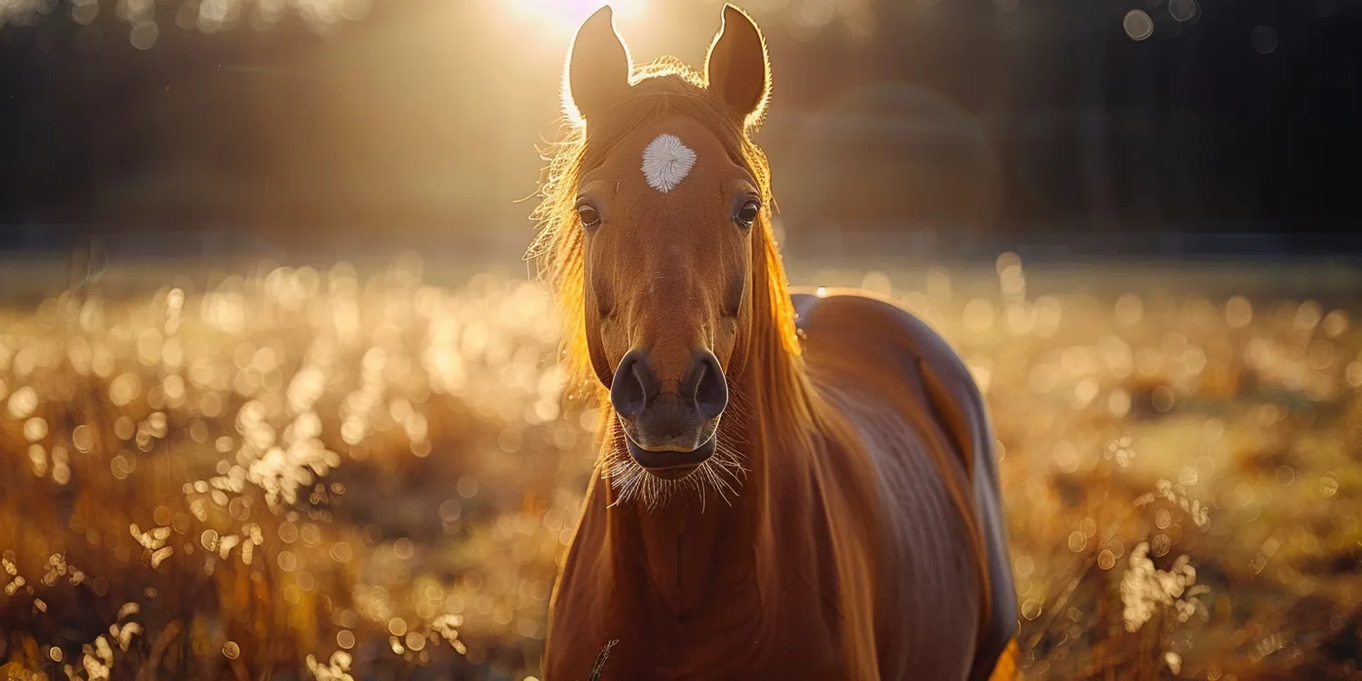 Trawa z rolki kiedy można chodzić?
