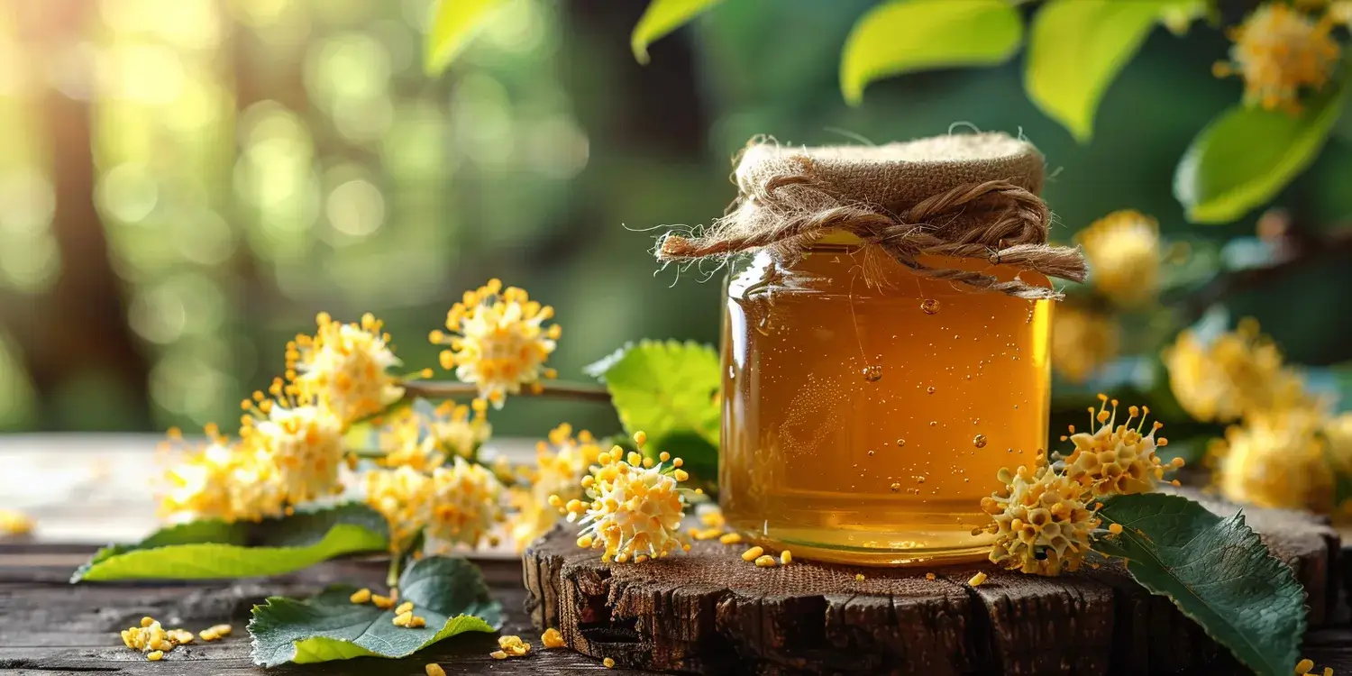Miód gryczany na co jest dobry?