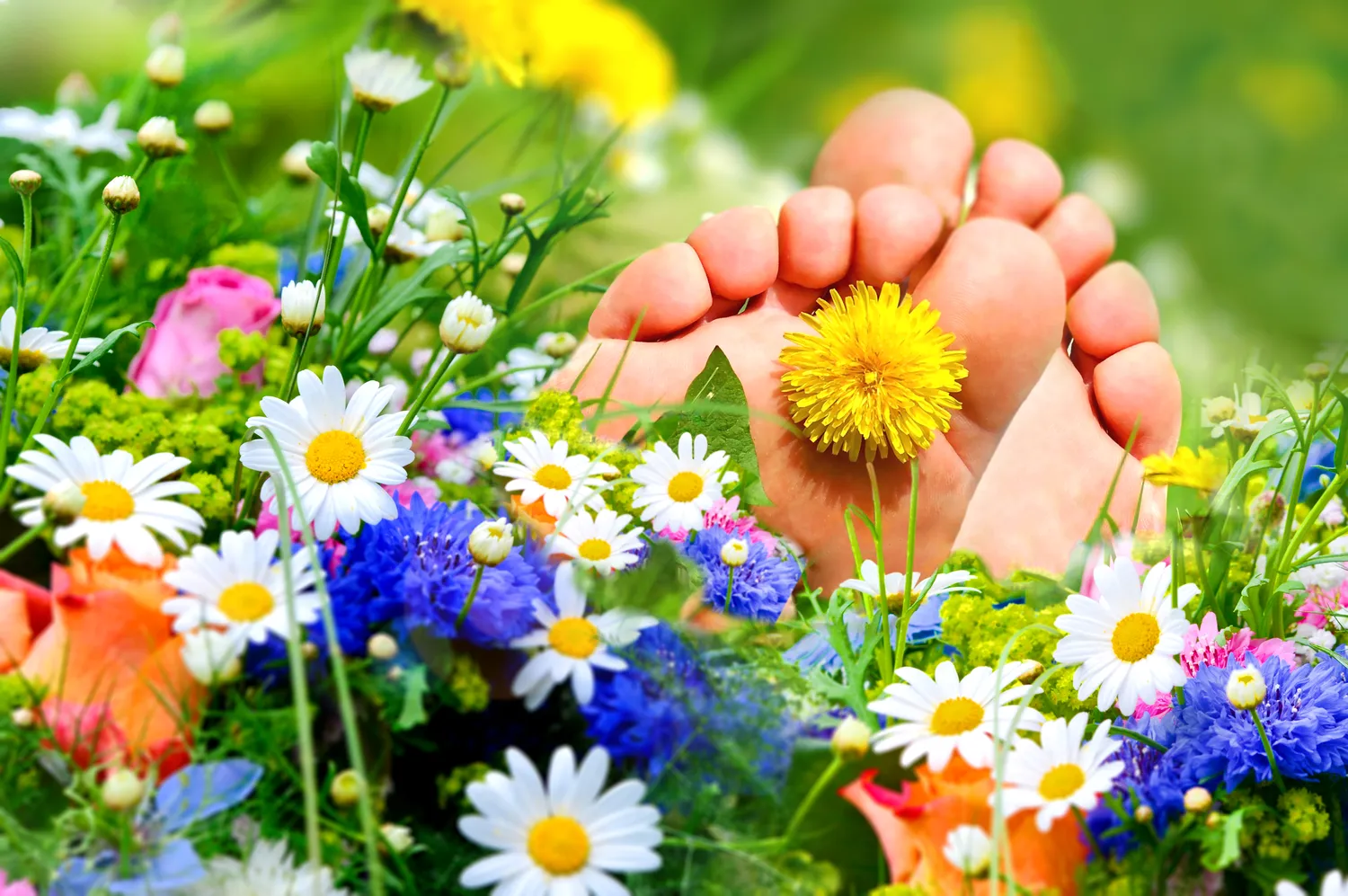 Podologia – pomaga rozwiązywać problemy zdrowotne stóp